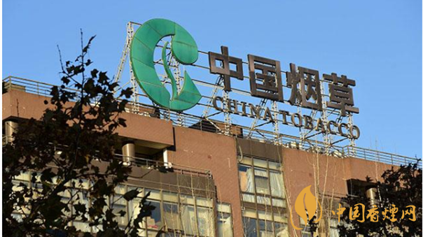 香煙漲價(jià)最新消息2020：香煙漲價(jià)真的能控?zé)焼?>
                                    <span>香煙漲價(jià)最新消息2020：香煙漲價(jià)真的能控?zé)焼?/span>
                                    <p>現(xiàn)在我國(guó)煙民的基數(shù)在不斷增大，而且有越來(lái)越多的青少年加入吸煙</p>
                                </a>
                            </li>
                                                                                </ul>
                    </div>

                </div>
            </div>
        </div>
    </div>

    
<link rel=