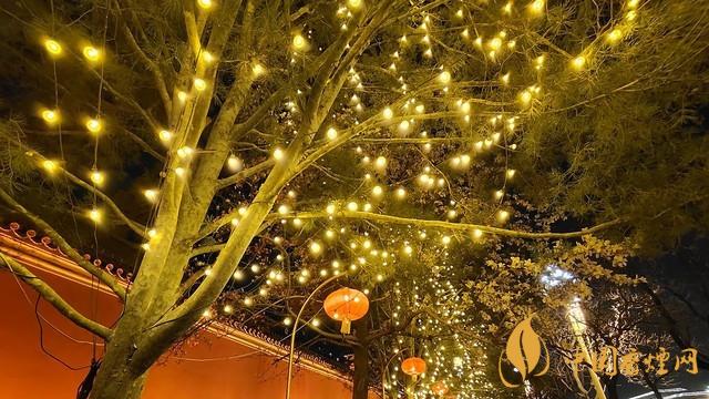 千元5g手機(jī)推薦 iqooz3測評