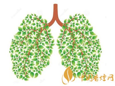 相比癌癥慢阻肺疾病離吸煙者更近！