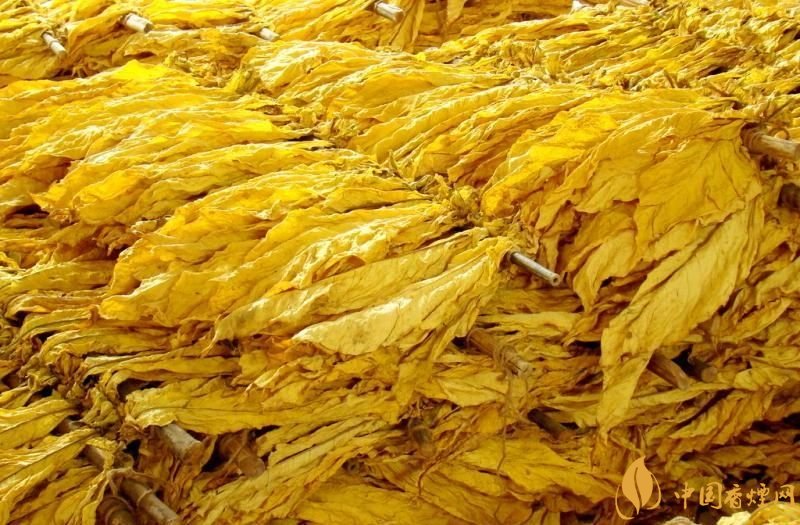 朱砂煙到底是什么煙，云煙朱砂煙有哪幾款