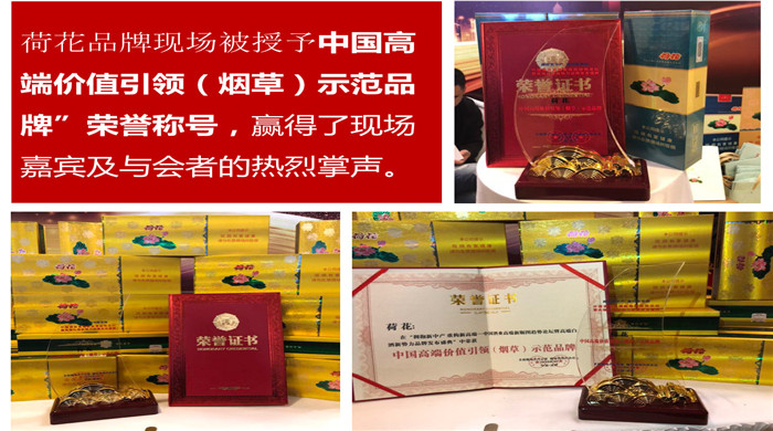 2018荷花煙問(wèn)鼎新高端荷花獲得榮譽(yù)稱(chēng)號(hào)四點(diǎn)成功因素