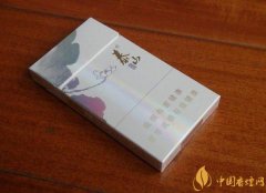 泰山細(xì)煙多少錢(qián)泰山細(xì)煙價(jià)格圖表介紹